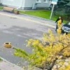 Пьяный красноярец угнал скорую помощь и «вылетел» на ней с территории больницы, сломав шлагбаум