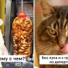 В Химках разгорелась целая драма из-за шаурмы