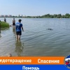 В Новосибирске 12-летняя девочка утонула в карьере на Юго-Западном