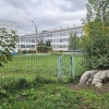 В Ачинске собака укусила ребёнка Известно, что животное укусило семилетнего...