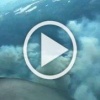 Тайга горит в Усть-Бюрском лесничестве, задымление растянулось на 50 гектаров