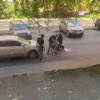 В Долгопрудном избили молодого человека, который сопровождал девушку на...