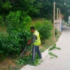 🌿🧹 Во Владивостоке вышли на охоту… на сорняки В парках, скверах и набережных...