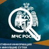 В Брянской области за прошедшие сутки потушено 13 пожаров: