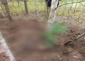 В Енисейском МО искали грибников, а нашли загрызенные дикими животными...