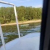 В Новосибирске спасатели помогли семье с ребенком, перевернувшейся на сапе