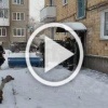 Пожар на Щетинкина,40. Задымление на 7 этаже. <tg-emoji...