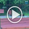 Внимание: застенчивая ворона пыталась подкатить к усатому...
