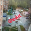 Медведь в Таштаголе оказался фейком