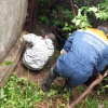 В Мариинске спасли собаку, упавшую в глубокую яму