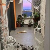 В Подмосковье мужчина не смог найти ключи и устроил погром у собственной квартиры