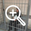 В Екатеринбурге директора Центра по приему экзамена для...
