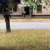 Момент задержания второго нападавшего в Нальчике