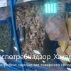 В Хакасии проверили магазины «Светофор», нарушения выявлены во всех проверенных магазинах.