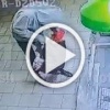 Челик вынес полстенда с табачкой и всякого по мелочи из 