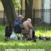 В Петербурге заметили мирно отдыхающих пенсионеров…а, ой...