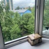 В Абакане вынесли приговор матери погибшего при падении из окна малыша