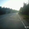 Медвежонок выскочил на дорогу в районе «Бобров» под Ангарском