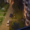 На Новомарьинской улице женщина под покровом ночи спилила молодое деревце....