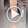 Сотрудниками УЭБиПК МВД по Республике Хакасия в ходе...