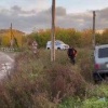 Мужчина погиб под колёсами грузового поезда в Канске Накануне вблизи станции...