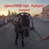 Авторынок на фоне дефицита бензина тоже решил вернуться к корням. Источник: 🤔...