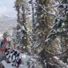 В СК на транспорте опубликовали видео с места крушения Ан-2 в Красноярском крае