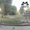 Слишком широкий козырёк подъёзда стал причиной аварии во дворе Новосибирска.