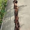 В Красноярске на скандальной развязке на Северном шоссе начал разваливаться тротуар