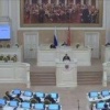 В Петербурге запретили собирать два вида грибов