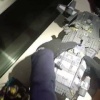 Вот такая незваная крылатая гостья залетела в квартиру на Хорошевском шоссе....