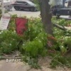 На улице Александра Невского в Иркутске начали массово...