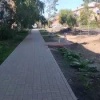 Власти Канска позаботились об интровертах и сделали аллею одиночества.