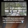 Всё-таки победила любовь. На суде Диана, которую возлюбленный её сердца чуть до смерти не забил возле помойки, заявила, что у нее нет претензий к своему романтику.