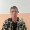 🐅 Мужчину, повредившего скульптуру тигра, задержали во Владивостоке