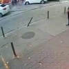 В Рио-де-Жанейро пешеход чудом уцелел после падения огромного дерева во время сильного шторма