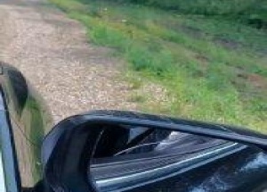 Медведь устроил привал прямо у трассы в Красноярском крае Необычного...