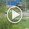 Водитель не справился с управлением и вылетел с дороги и...