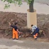 В Восточном Дегунино на Дубнинской улице произошло благоустройство — у...