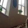Следком возбудил уголовное дело после обрушения потолка в вузе Выборга. К...