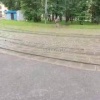 В Восточном Измайлово лоси устроили утренний променад 🇷🇺 Источник: ЧП МОСКВА