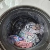 В Москве котенок решил спрятаться в стиральной машине, и его едва не...