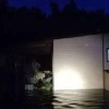 Бобры устроили «Венецию» под Петербургом: полсотни дач ушло под воду из-за хвостатых гидростроителей