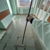 В Кировской области спасли ребёнка, которого почти насквозь прошил...