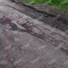 Змея выползла к посетителям Столбов прямо у входа