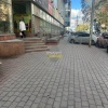 В Новосибирске синички массово разбиваются о стекла зданий Огромное...