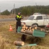 Вчера вечером в Полевском районе 17-летний водитель «ВАЗ 2107» спровоцировал...