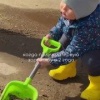 Самый милый помощник дня нашёлся в Подмосковье — маленький работяга решил помочь дорожникам во время работ