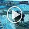 В Ижевске автоледи сбила 7-летнюю девочку