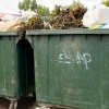 В Канске запретили выбрасывать ветки и ботву в мусорные баки